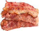 Bacon